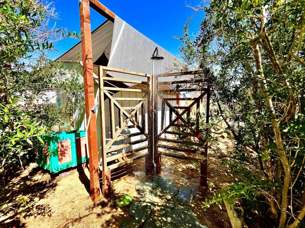 Popular Homestead! Location, Stargaze, Views! Джошуа Три Екстериор снимка