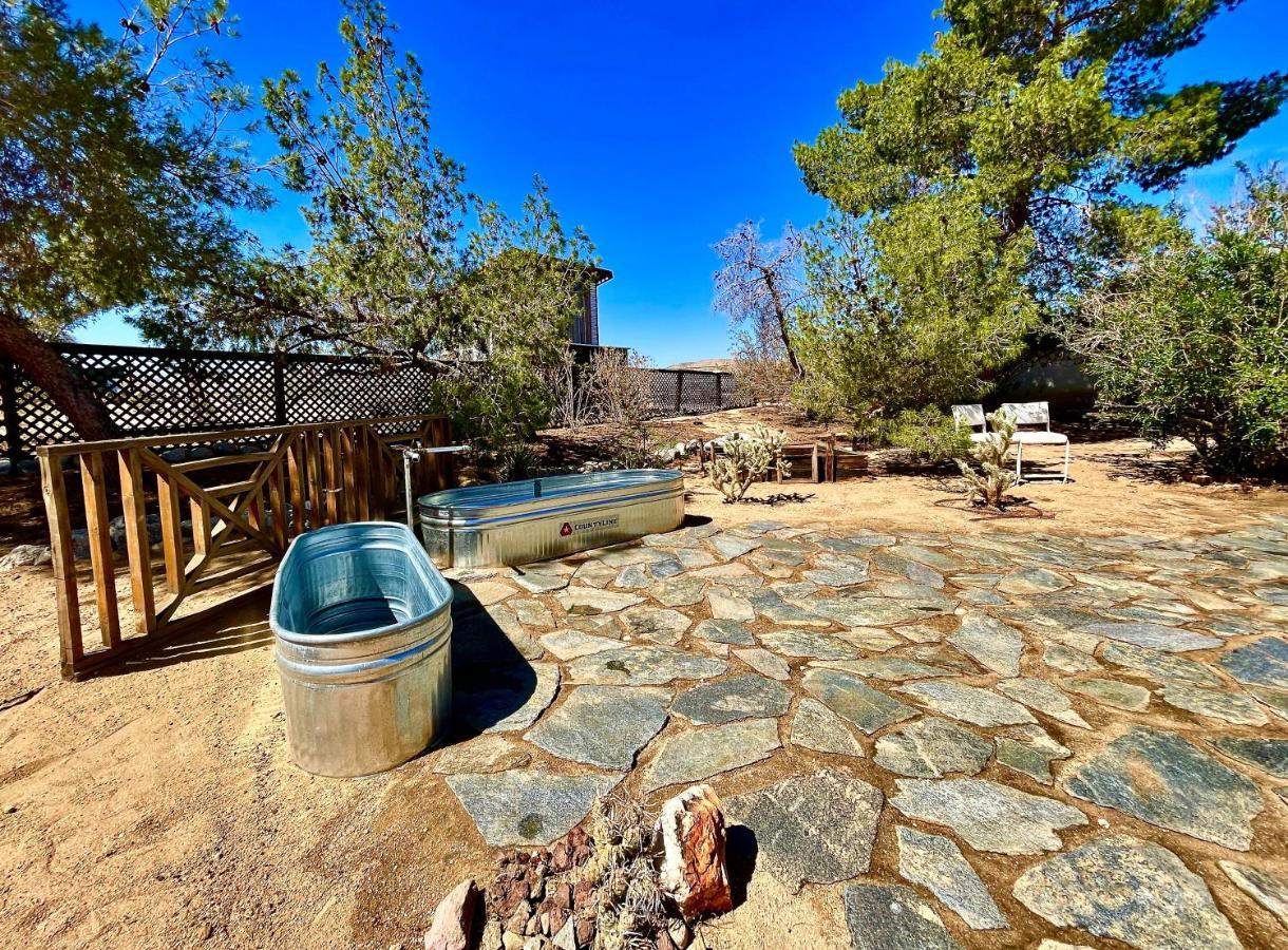Popular Homestead! Location, Stargaze, Views! Джошуа Три Екстериор снимка